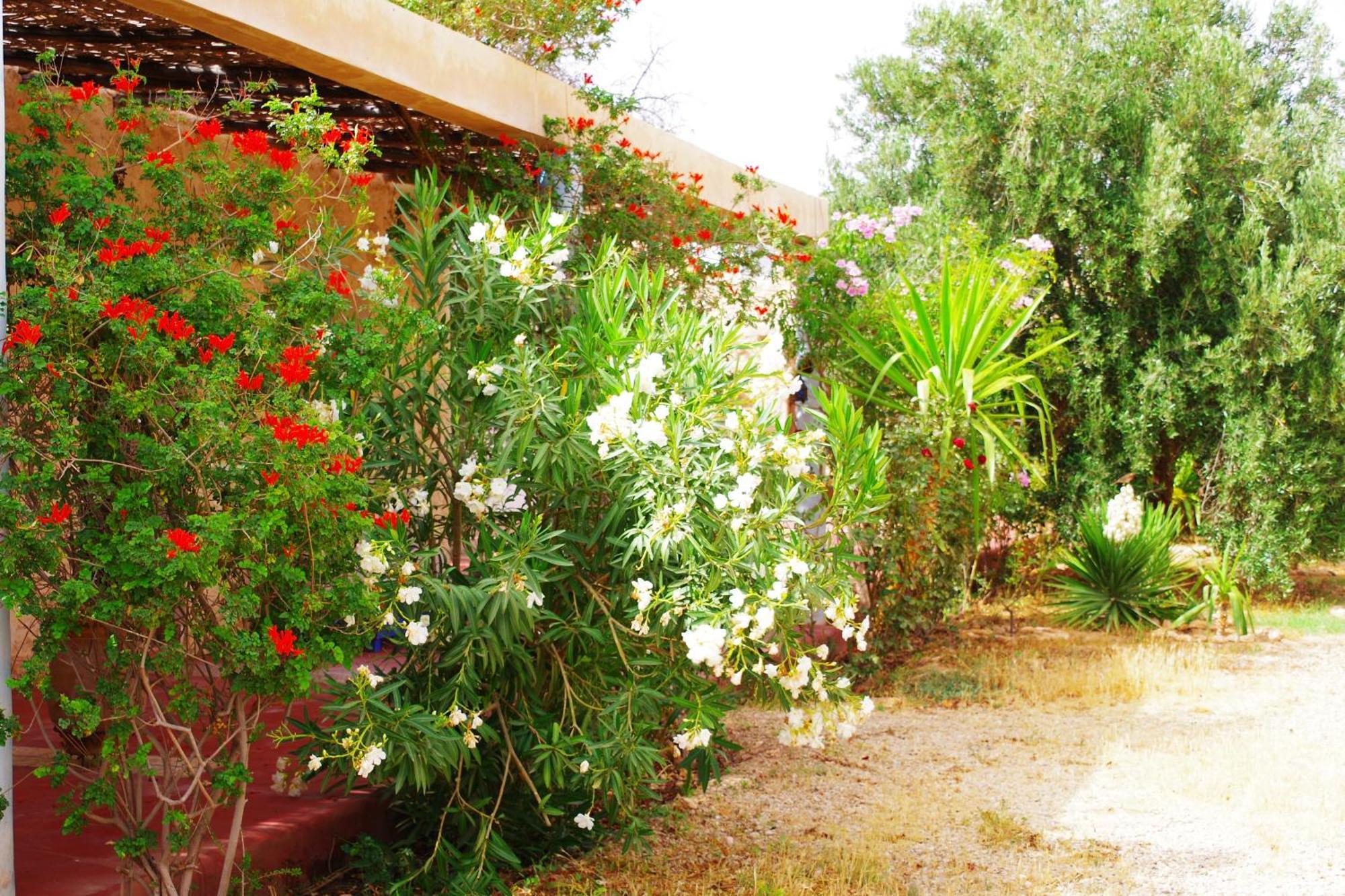 Artgana Lodge Essaouira Exterior photo